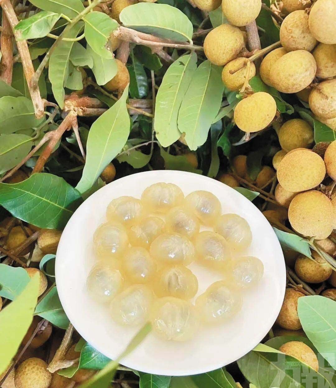 全產業鏈產值突破百億元