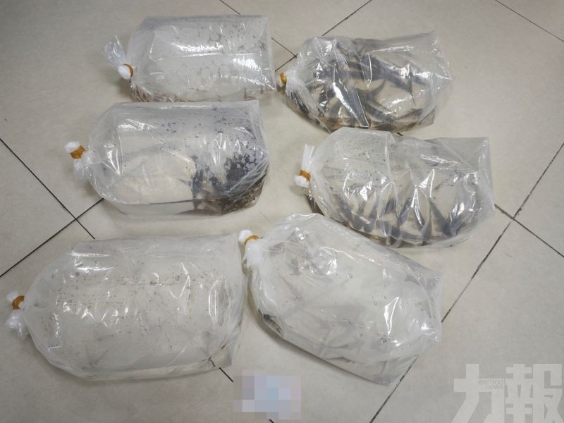 107條屬重點管控外來物種