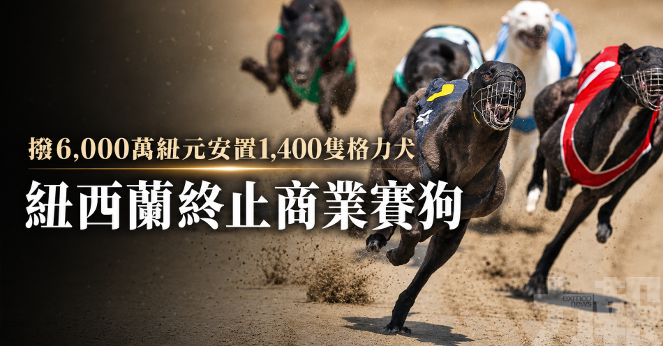 撥6,000萬紐元安置1,400隻格力犬