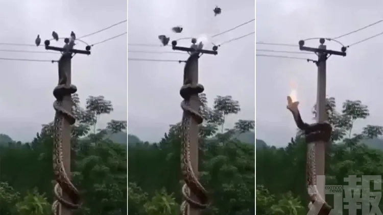 兩度觸高壓電當場喪命