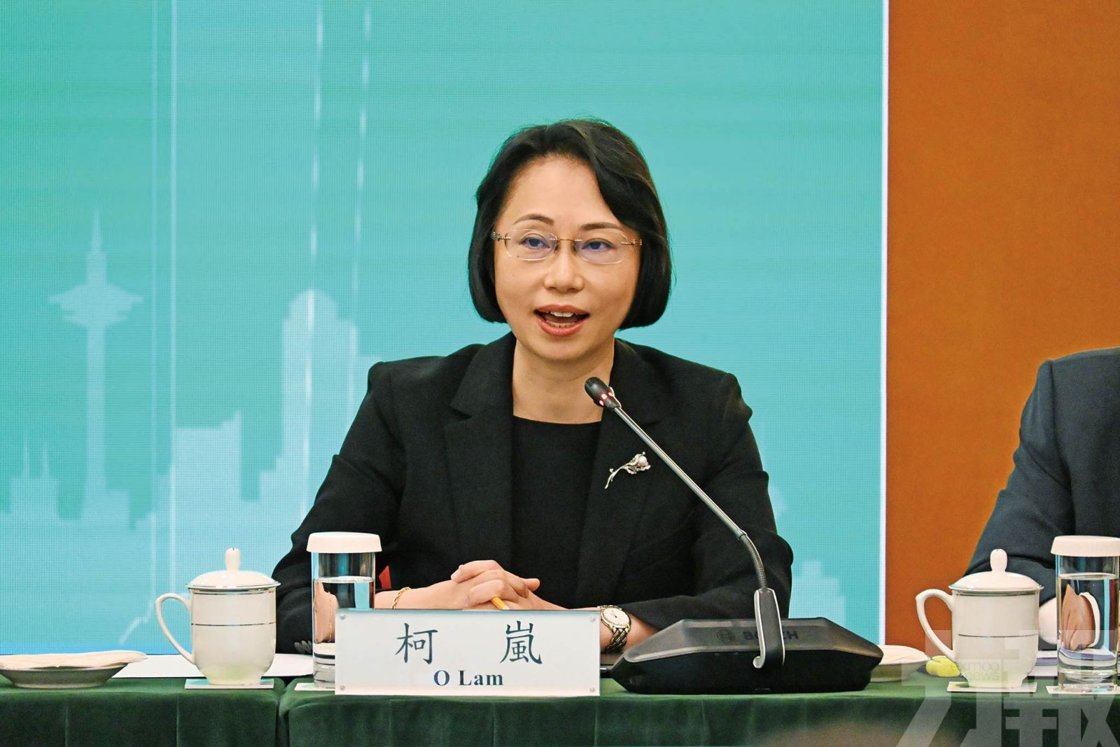 柯嵐：明年檢討人才引進制度
