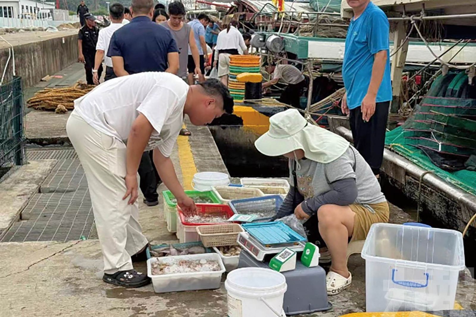 海鮮優惠延續60天