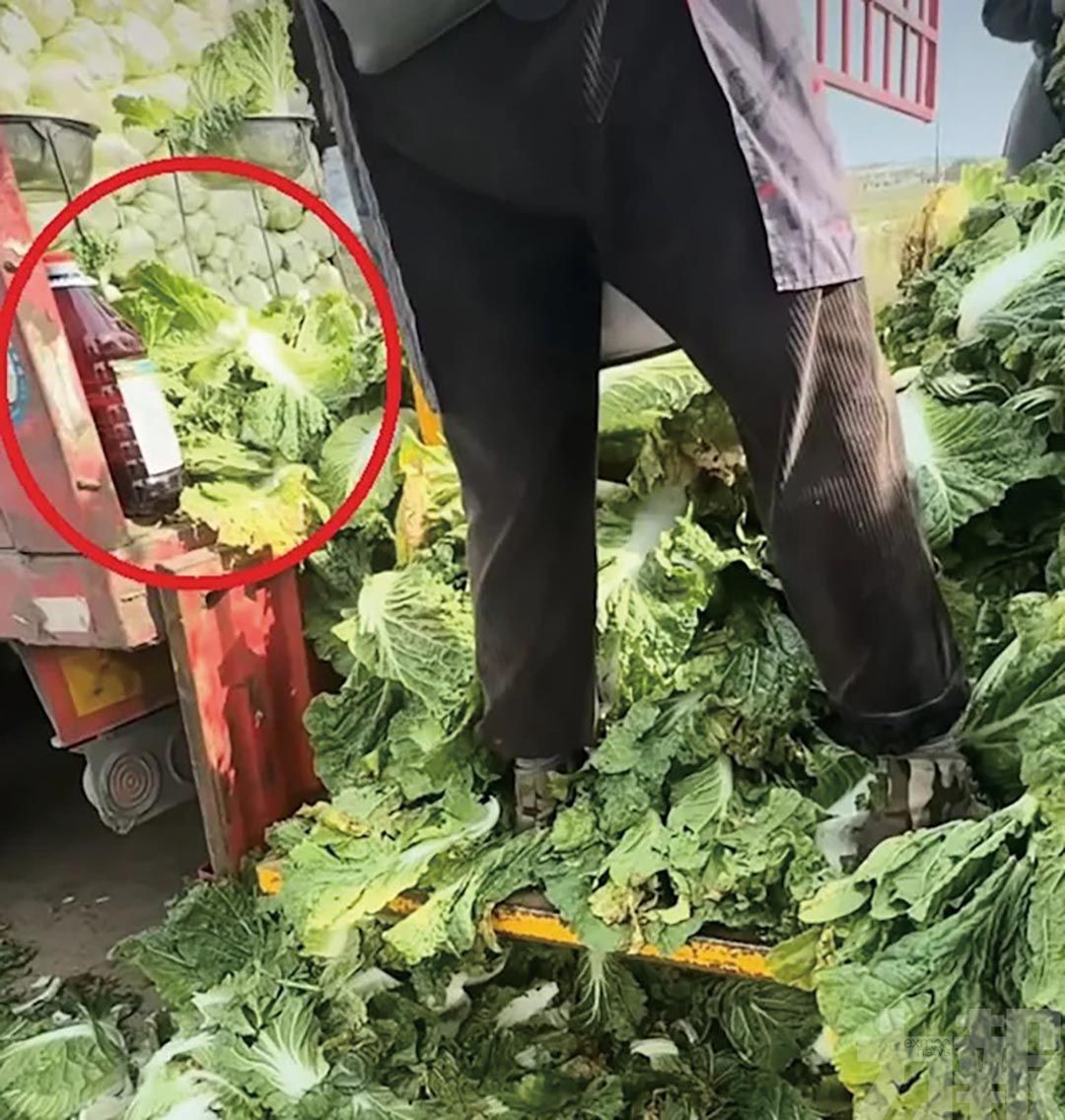 追流向阻問題貨上市