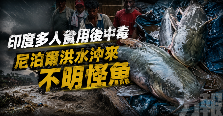 印度多人食用後中毒