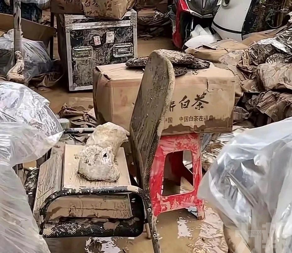 茶商庫存一夜泡湯