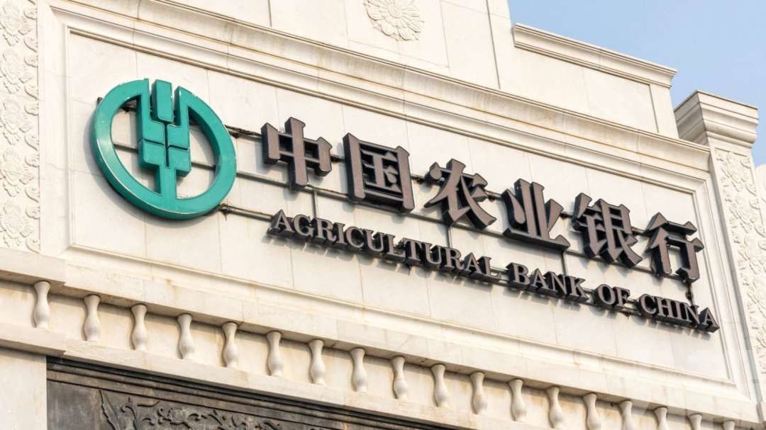中央有何考量？