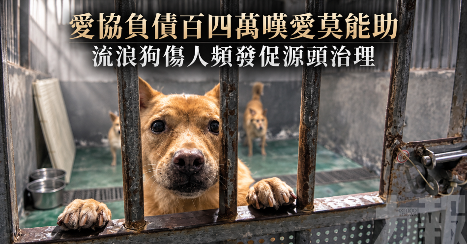 愛協負債百四萬嘆愛莫能助