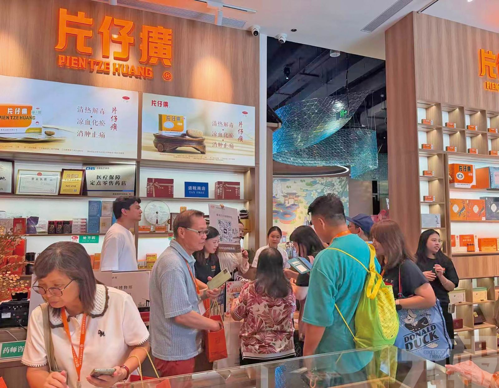 港澳琴三地聯動 加速成型