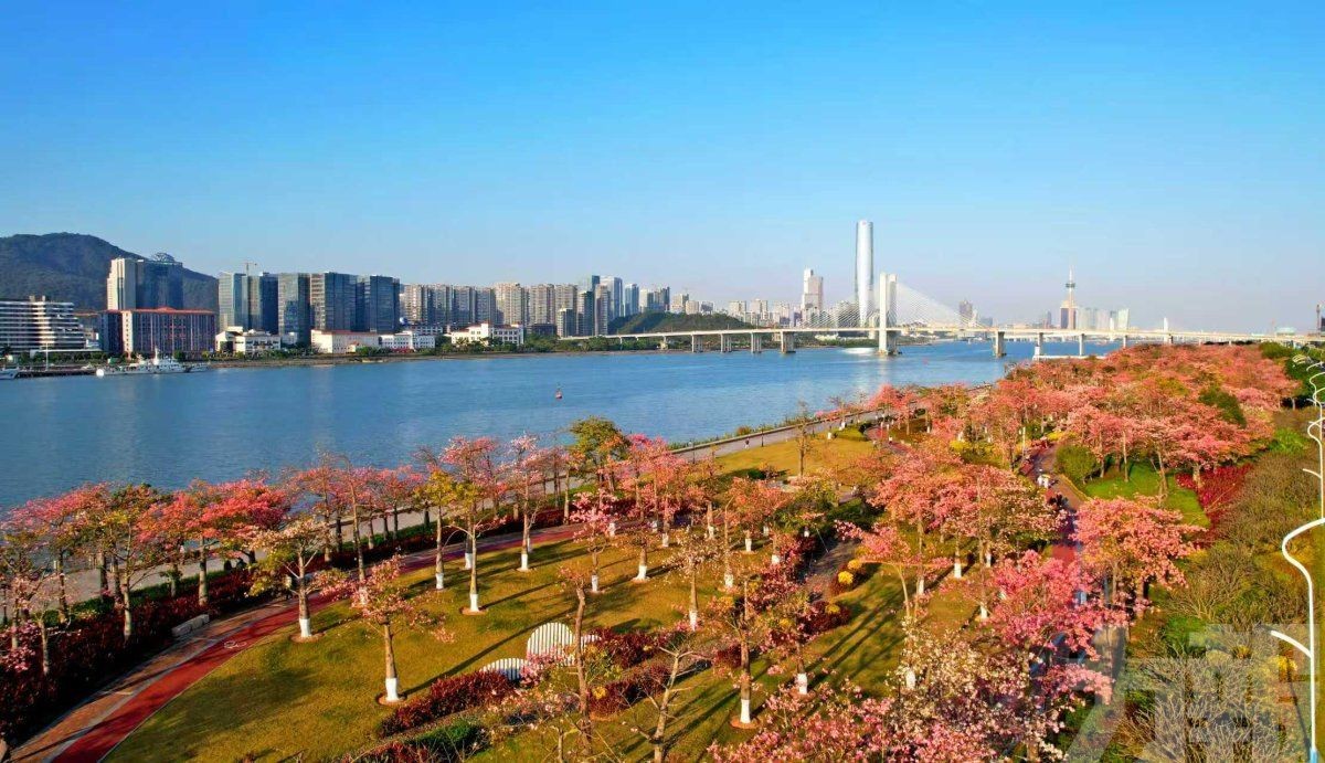 灼灼桃花源