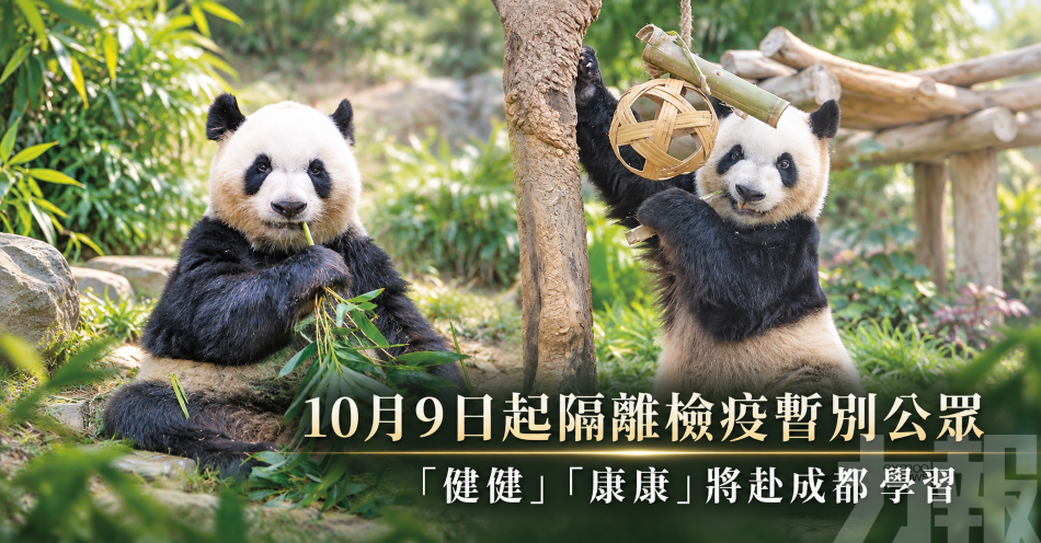 10月9日起隔離檢疫暫別公眾