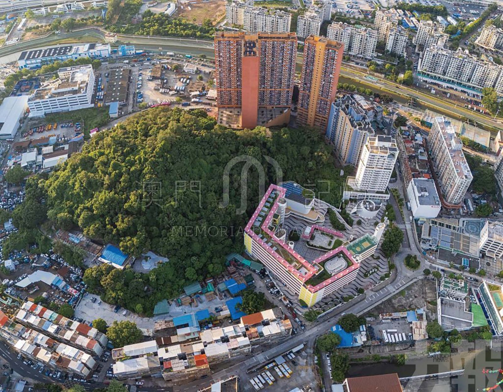 百年青洲山 翠影照古今