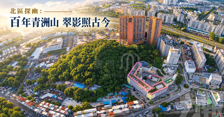 百年青洲山 翠影照古今