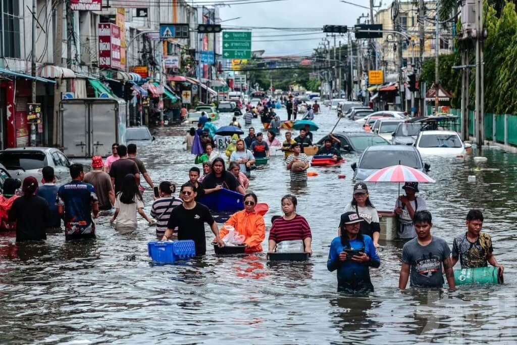 水淹曼谷鱷魚出沒