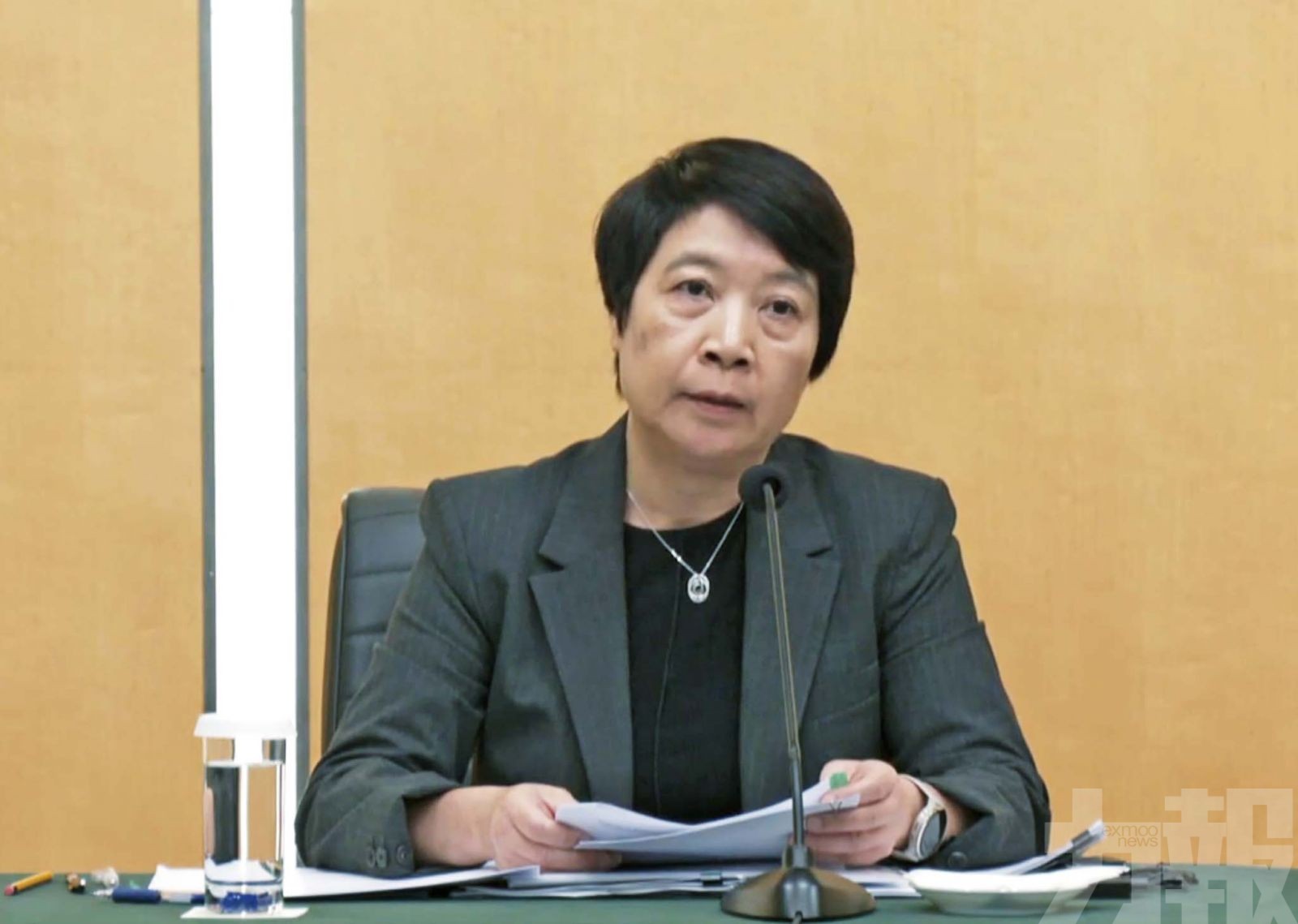 文體基金資助總預算維持不變