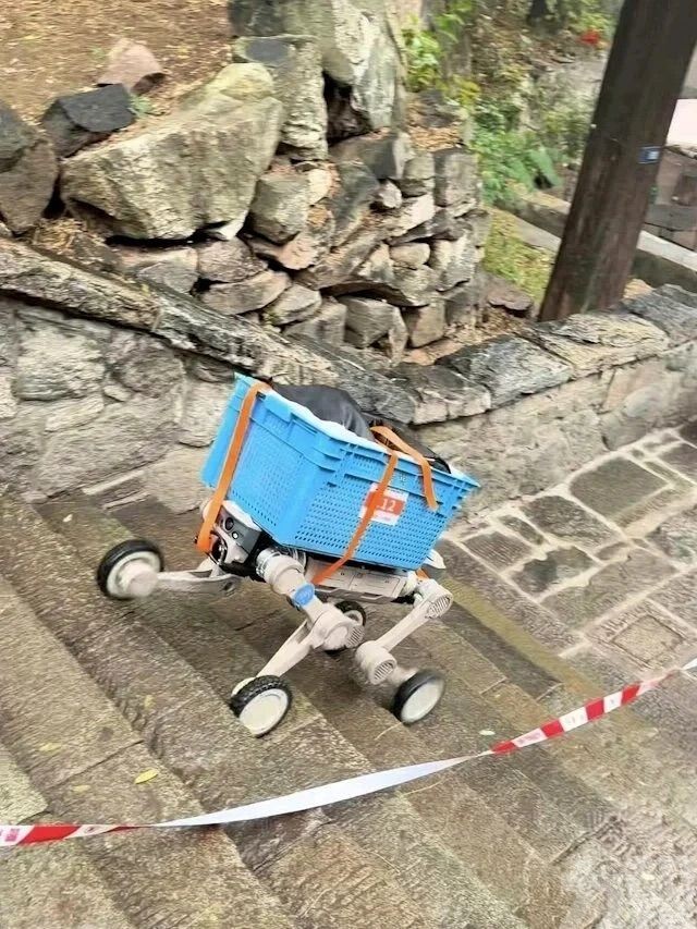 機器人登泰山大賽開跑