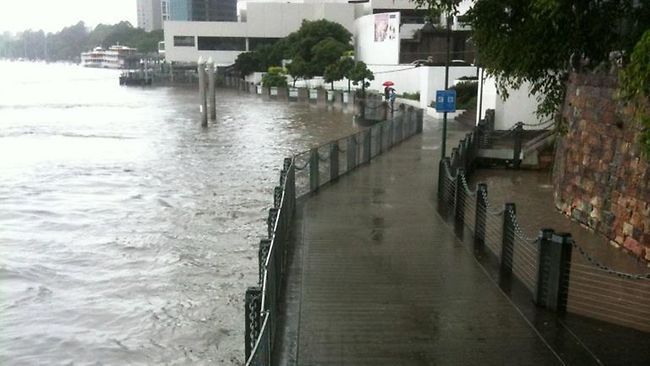 昆士蘭洪水肆虐 鱷魚隨水沖上街