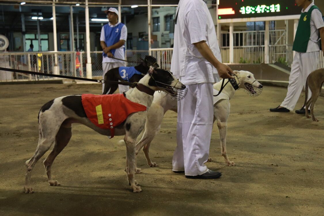 梁維特：暫看不到延期的可能性