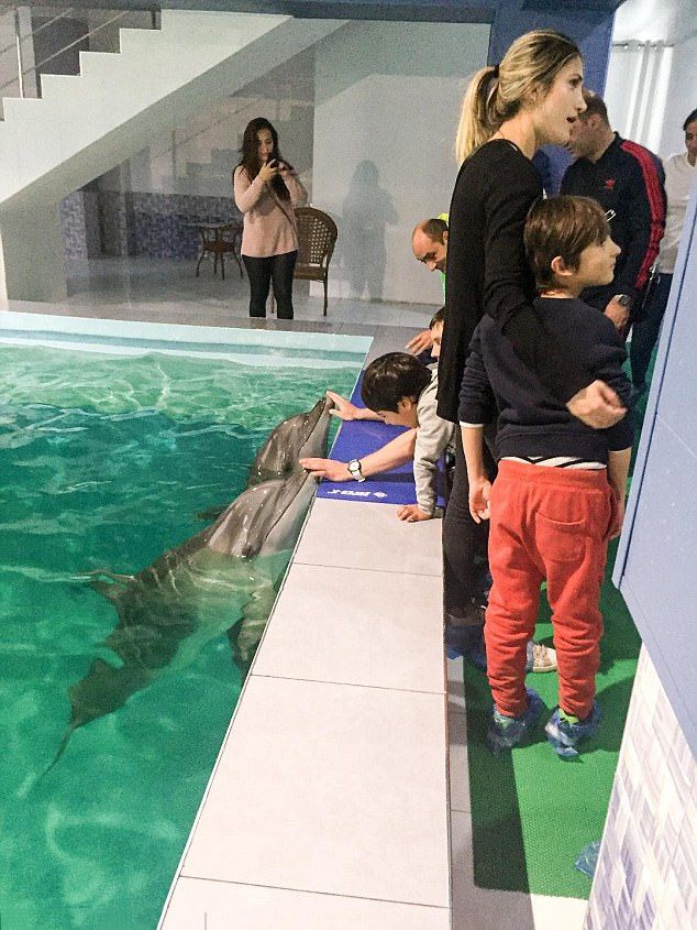 亞美尼亞酒店泳池養海豚惹爭議