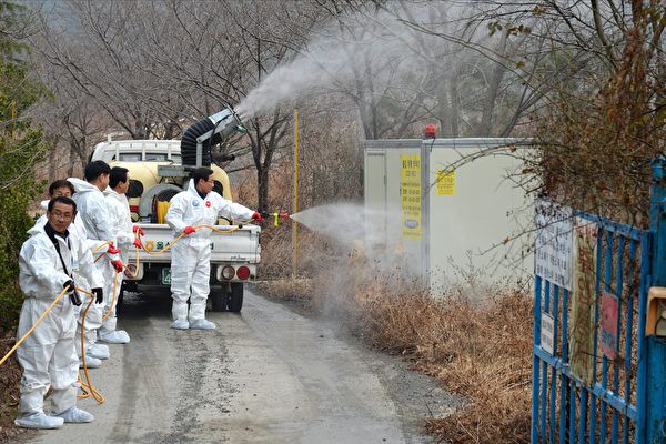 韓國爆新型H5N6禽流感