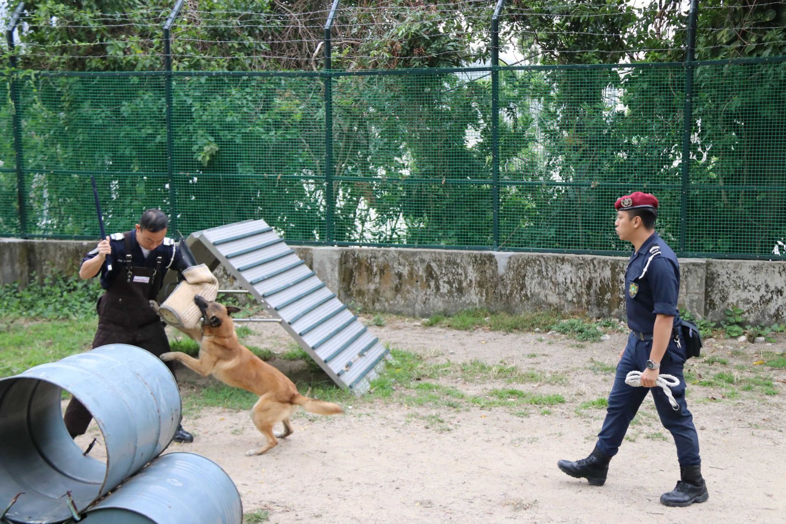 ​警犬隊展示各樣功能和演練