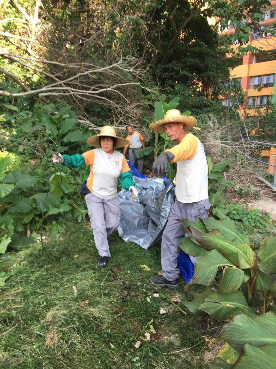 民署再到青洲山清理雜物