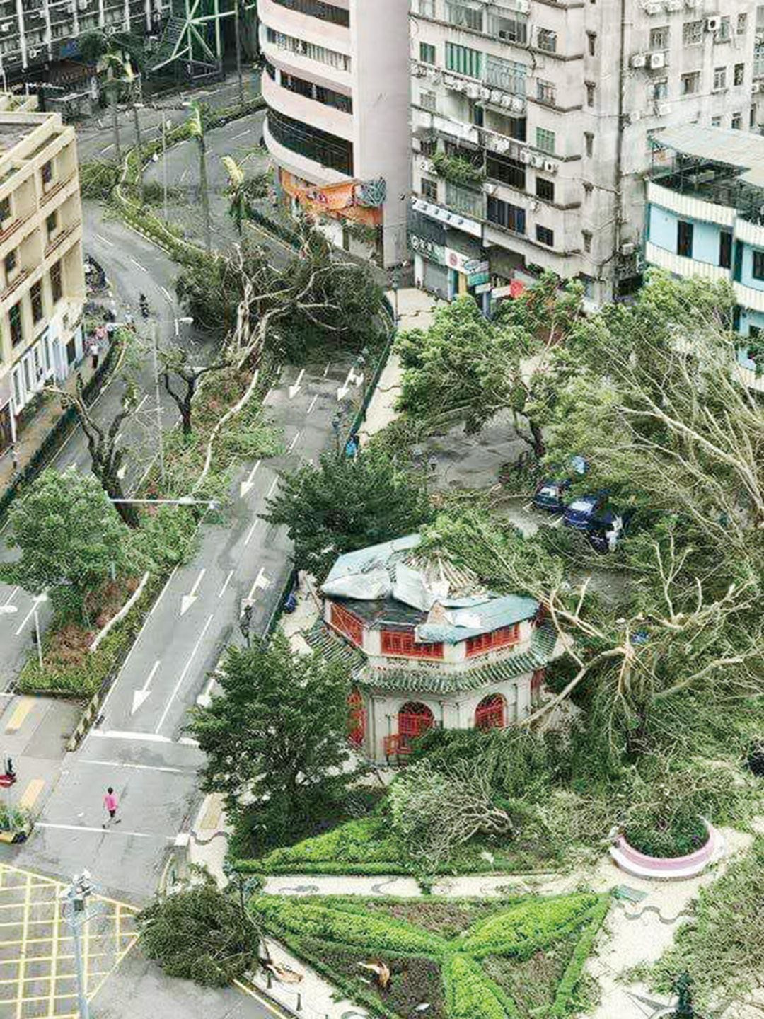 補植路樹兩千株 恢復澳門生機