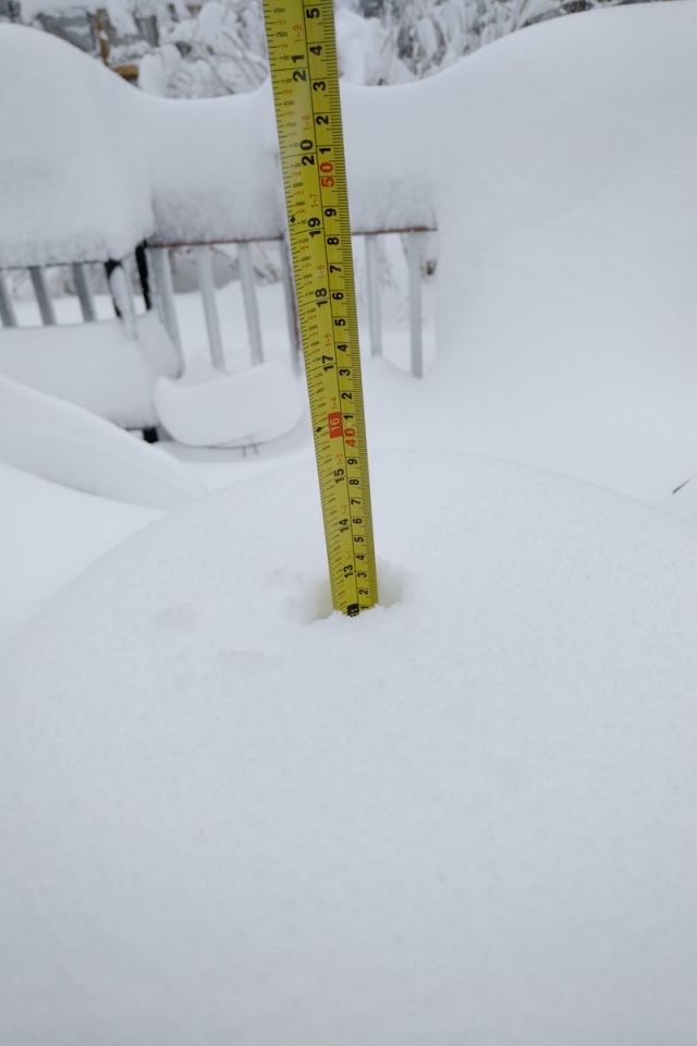 加拿大紐芬蘭落雪 積雪達30厘米