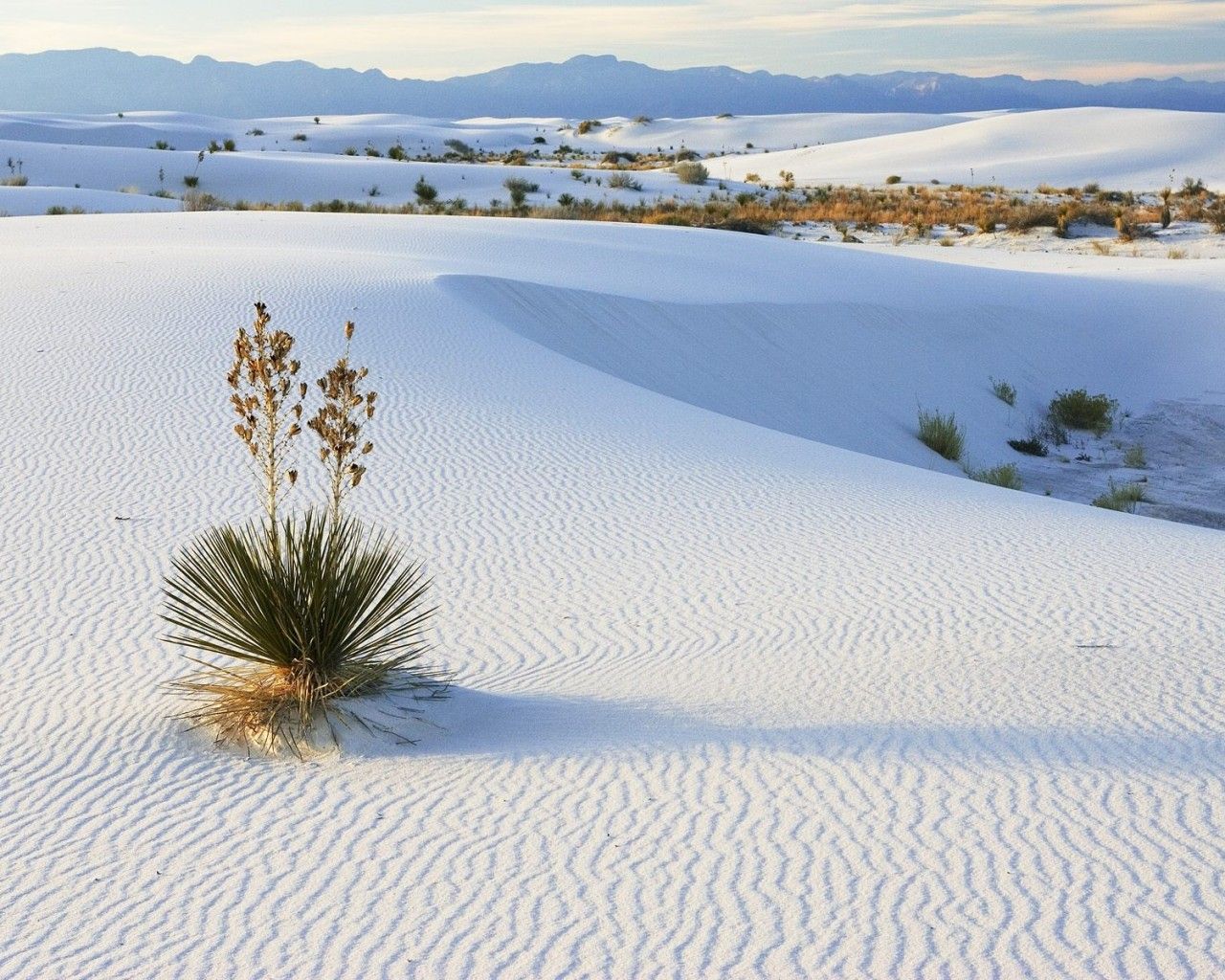 近半米積雪覆蓋黃沙