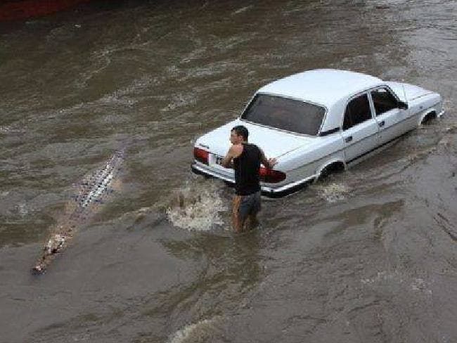 昆士蘭洪水肆虐 鱷魚隨水沖上街