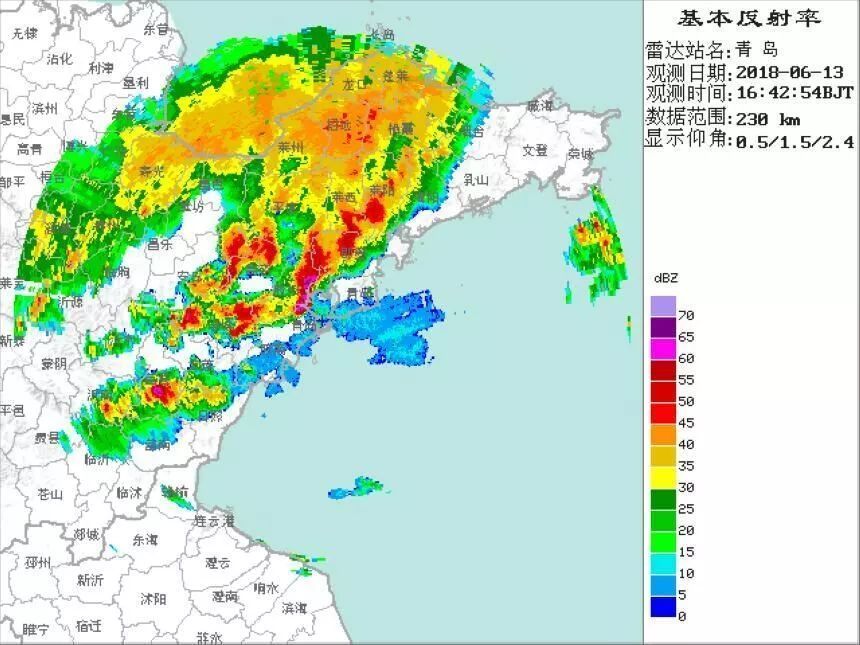 山東青島落「海鮮雨」？