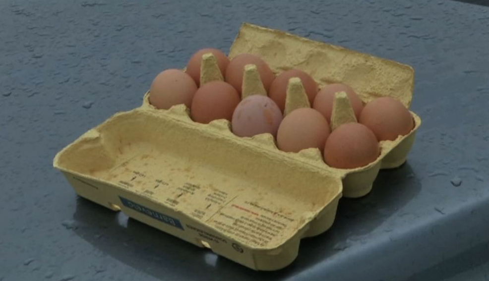 荷蘭被指大半年前已知悉毒雞蛋