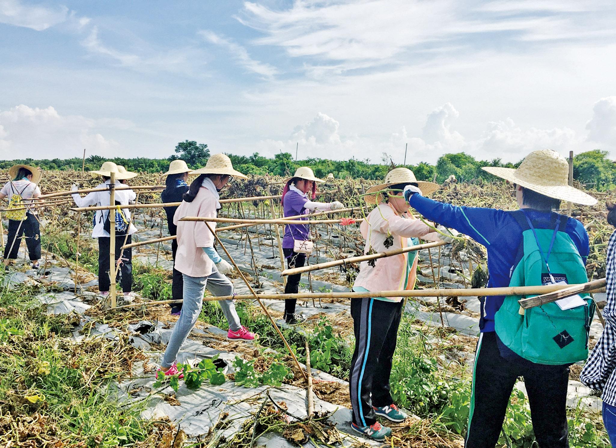 暑假農耕實習體驗活動報名
