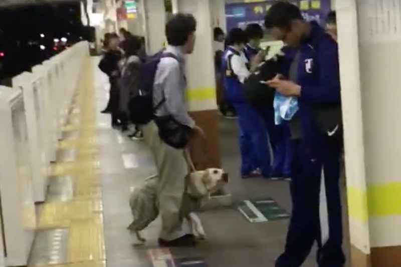 日視障男犯眾憎