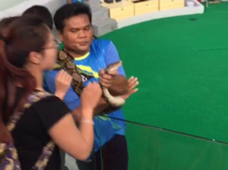 華客泰國遊吻蛇遭咬傷