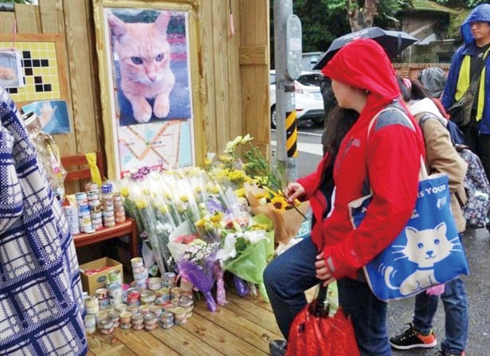 陳皓揚最高面臨一年徒刑