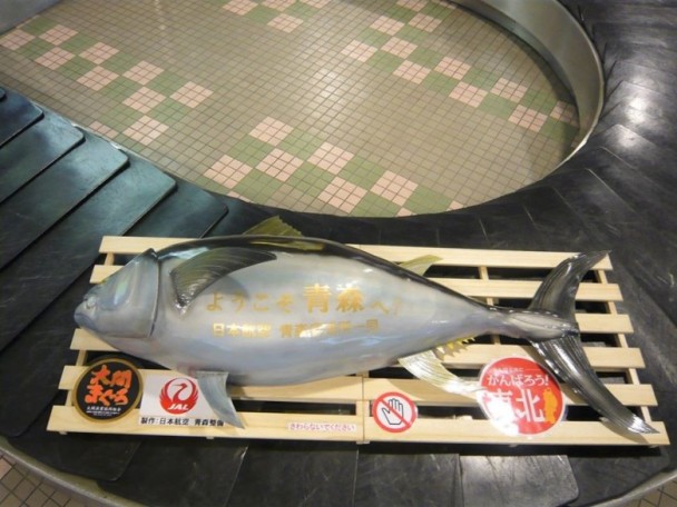日青森機場行李帶轉出大條鮪魚