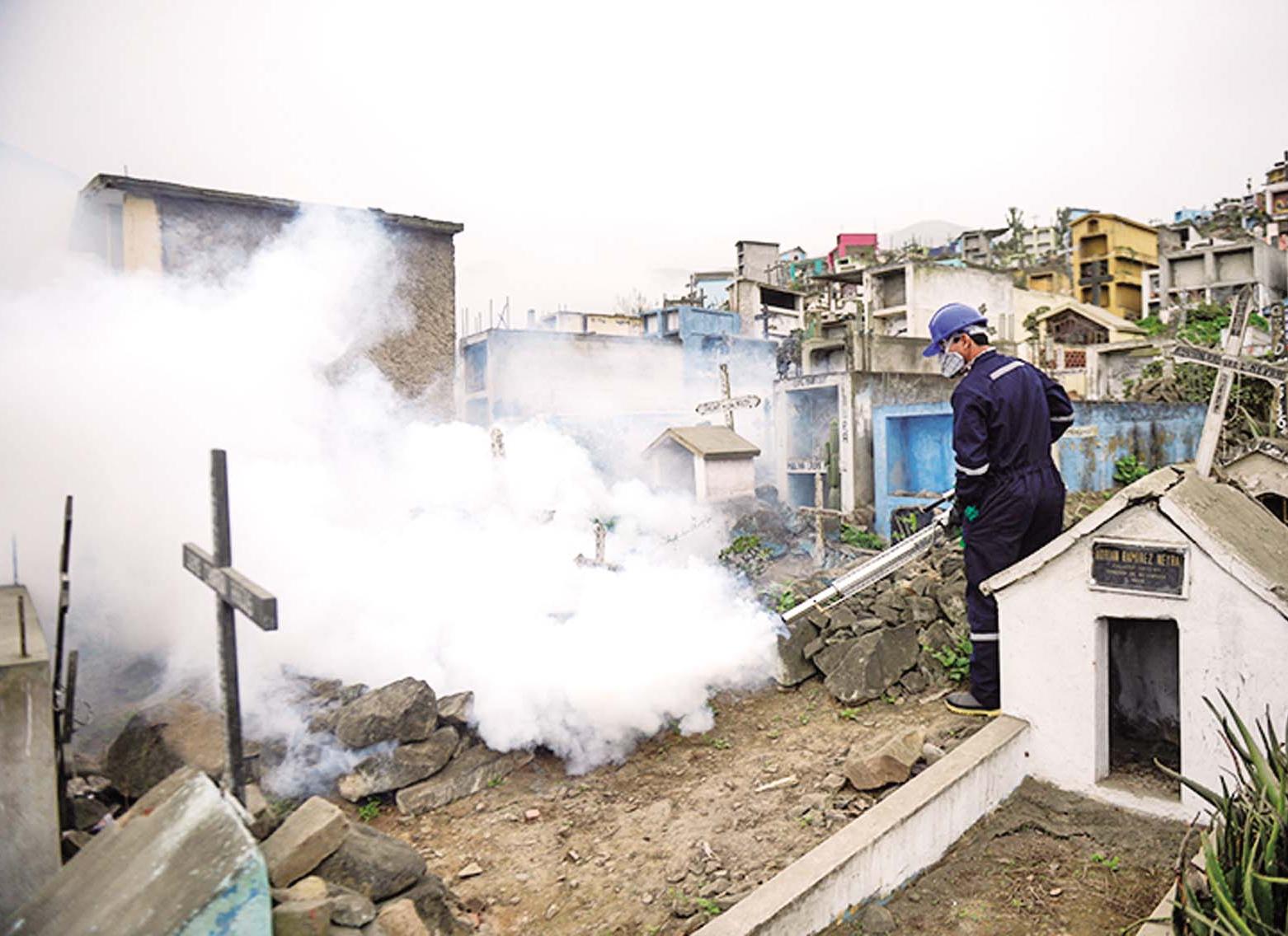 蚊播病毒致「小頭症」