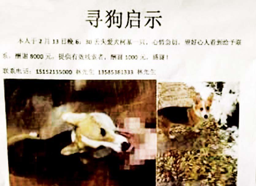 慘遭工人打死吃肉