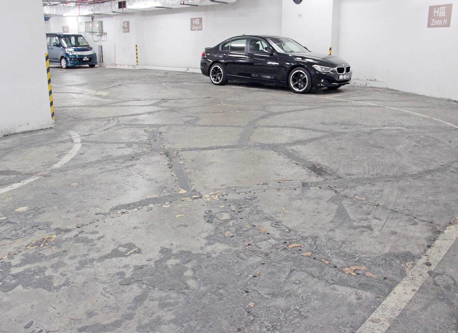 交通局關注跟進處理