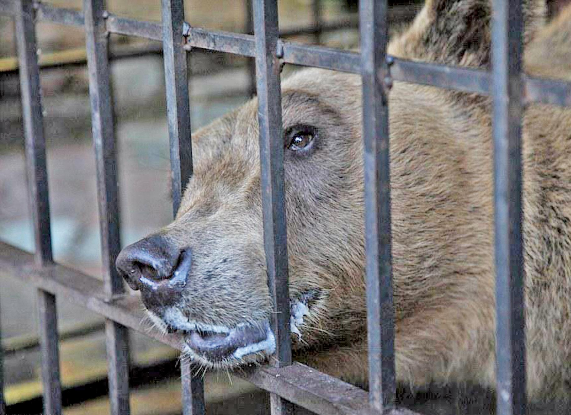 擺脫兩年不人道生活