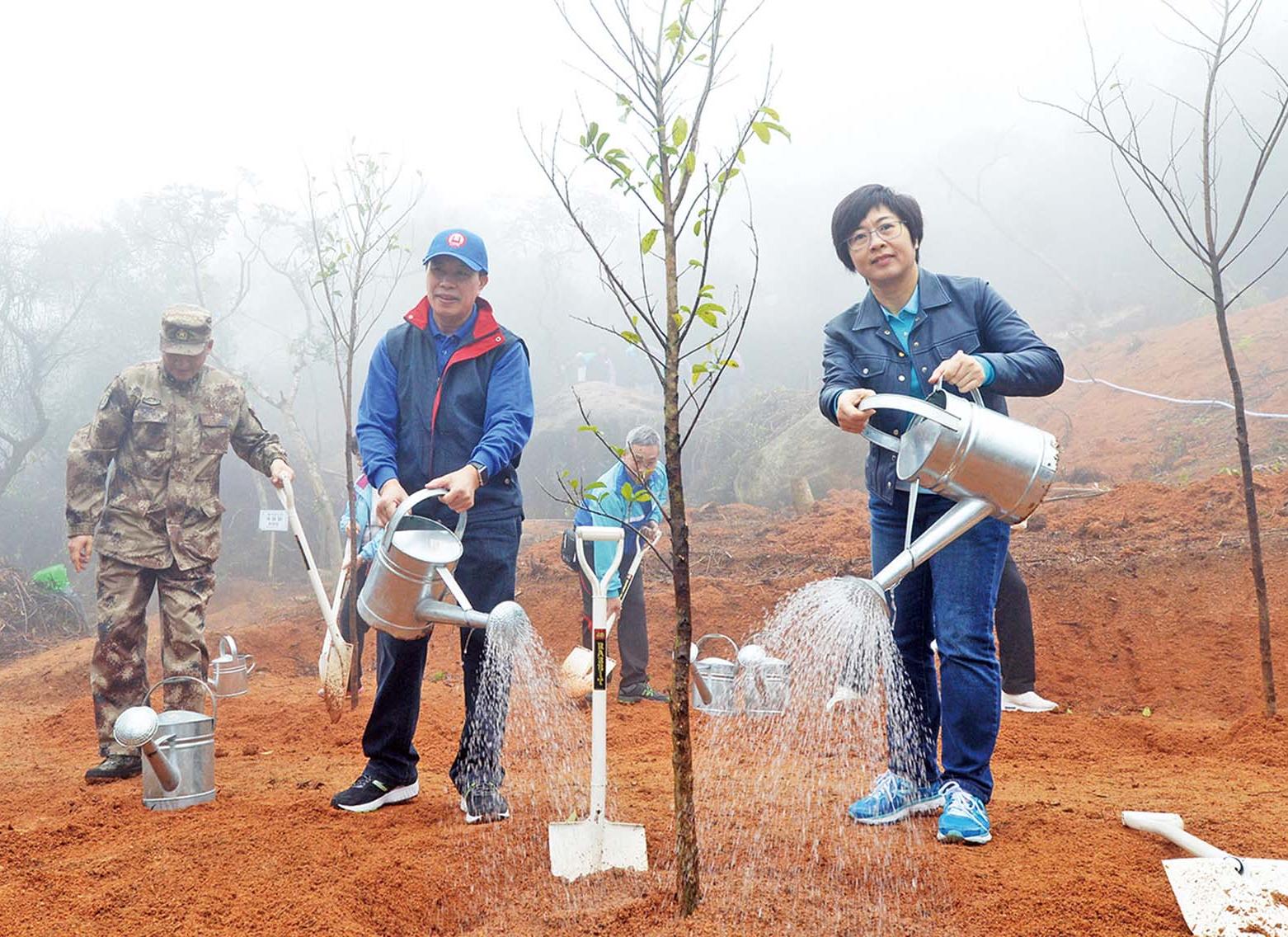 第二期機構重組計劃年內公布