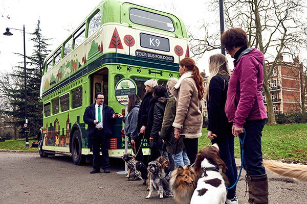 世界上第一輛狗狗專屬觀光巴士