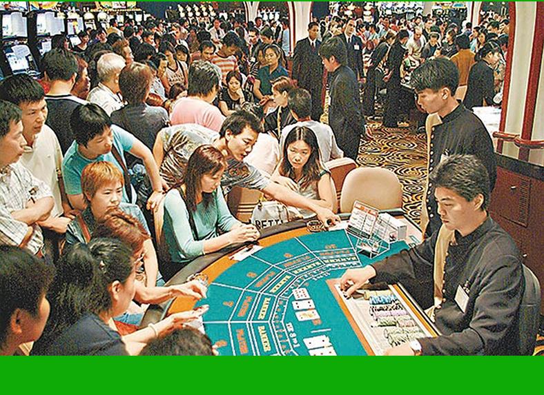 料下跌幅度將放緩