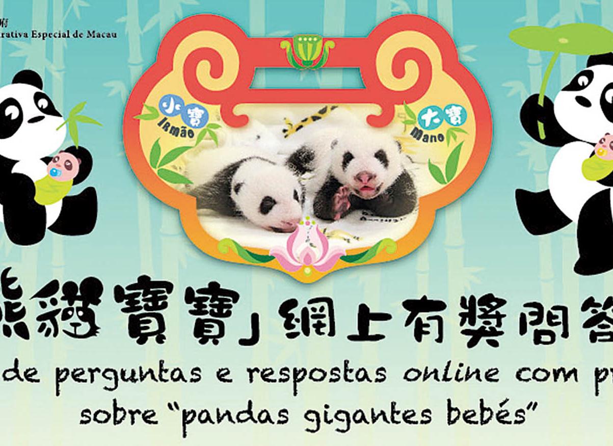 答對兩題可抽獎獲探大熊貓