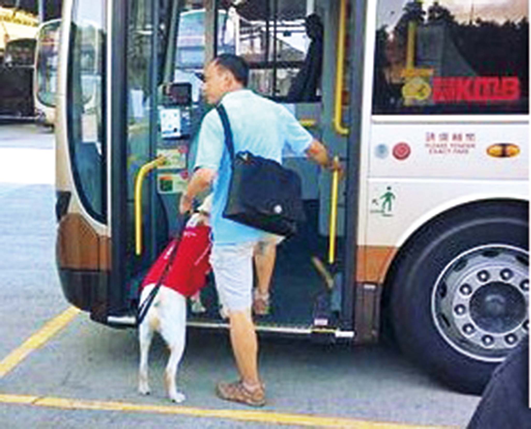 新福利：車長對導盲犬認知不深