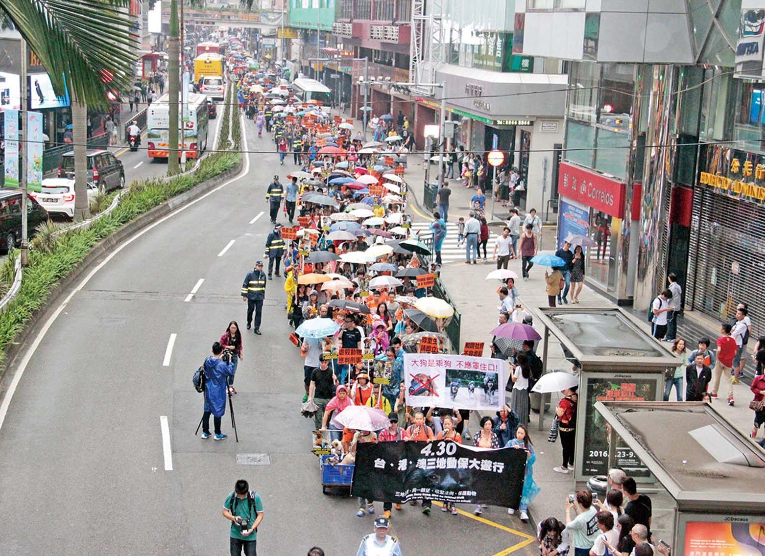 促本澳《動保法》早日立法