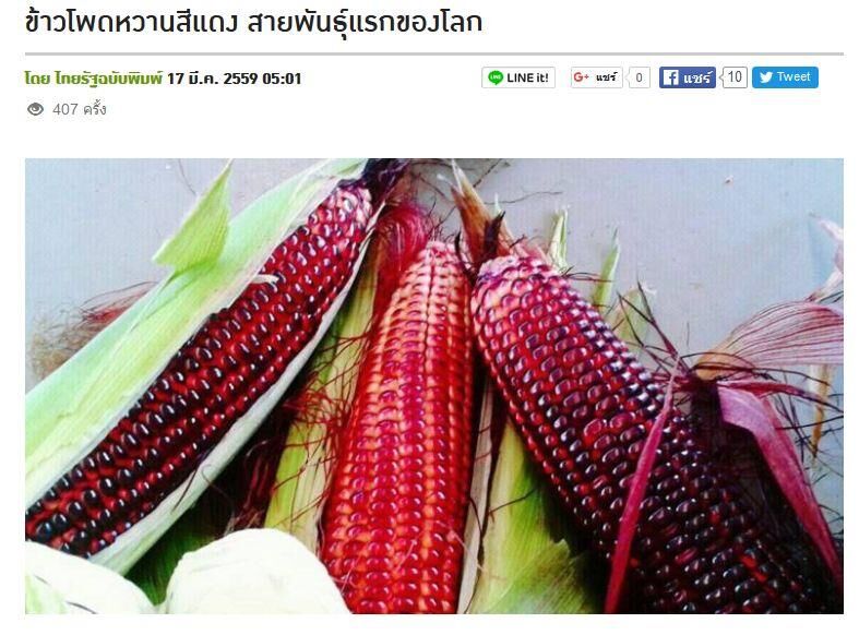 泰國種出「紅寶石」粟米