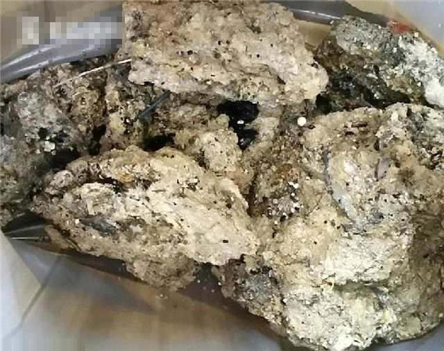 11輛雙層巴重 料三周才清理完