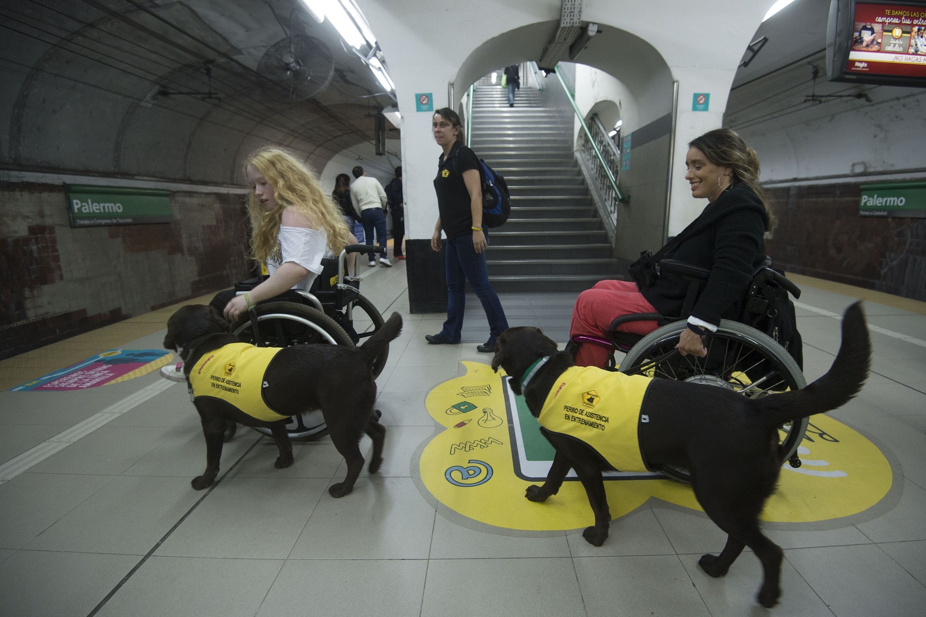 阿根廷輔助犬領病人搭地鐵