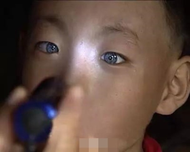 擁有夜視功能如貓眼